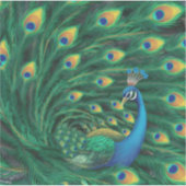 Sticker Oiseau Paon Bleu (Devant)