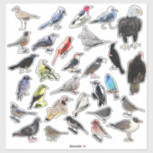Sticker Oiseaux Galore (Feuille)