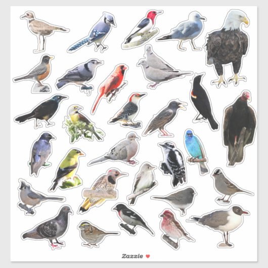 Sticker Oiseaux Galore (Feuille)