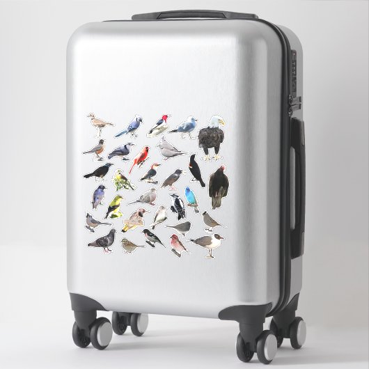 Sticker Oiseaux Galore (Sur valise)