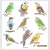 Sticker Oiseaux indigènes/endémiques philippins (Feuille)