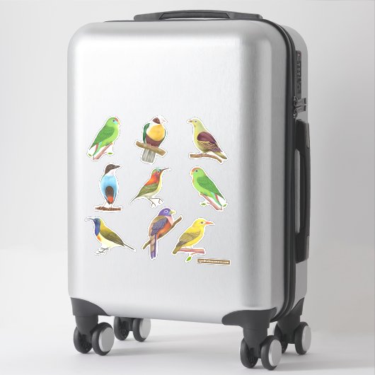 Sticker Oiseaux indigènes/endémiques philippins (Sur valise)