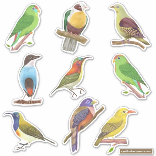 Sticker Oiseaux indigènes/endémiques philippins (Devant)