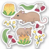 Sticker Opossum miel (Devant)