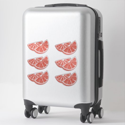 Sticker Orange (Sur valise)