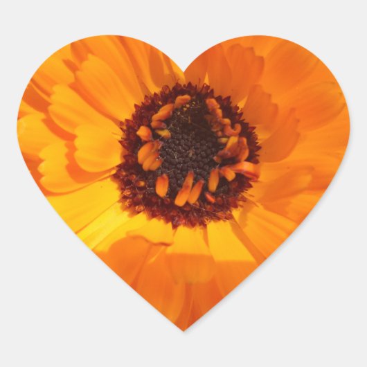 Sticker Orange Flower Heart (Devant)