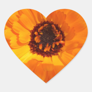 Sticker Orange Flower Heart
