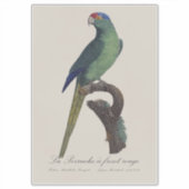 Sticker Orange-Fronted Parakeet, Eupsittula Canicularis (Devant)