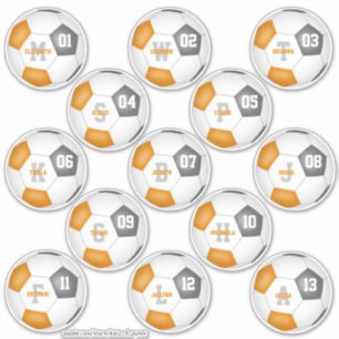 Sticker orange gris équipe couleurs joueurs individuels de