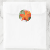 Sticker Orange Orchid (Sac)