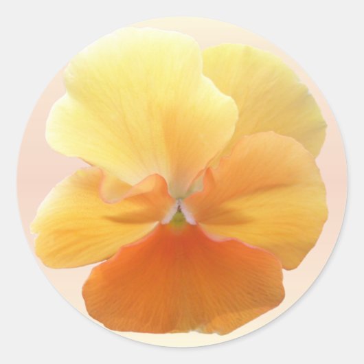 Sticker - Oranje Pansy (Voorkant)