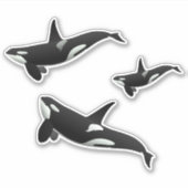 Sticker Orca (Devant)