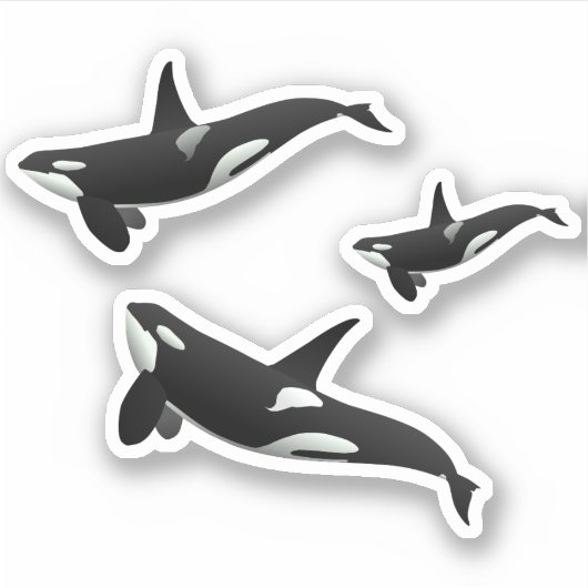 Sticker Orca (Devant)