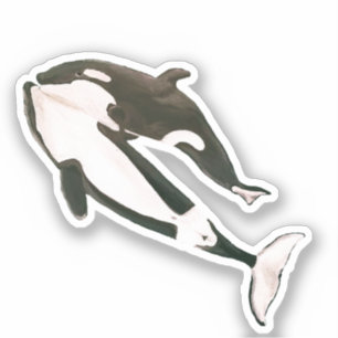 Sticker Orca
