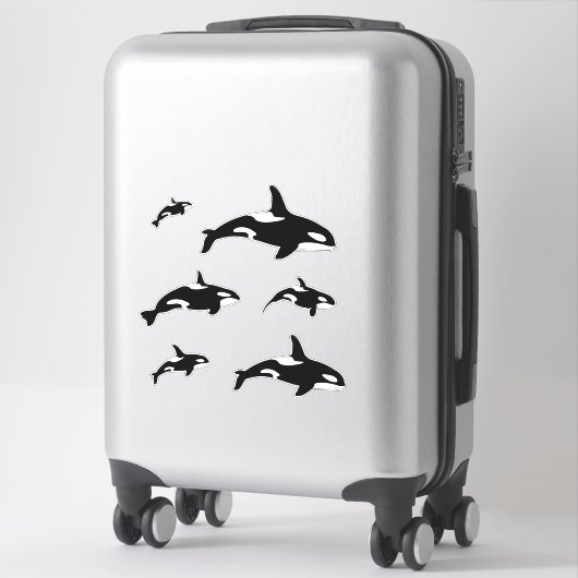 Sticker Orca Killer Whale Set (Sur valise)