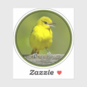 Sticker Orchard Oriole - Photo originale (Feuille)