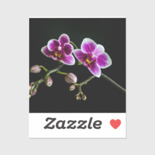 Sticker Orchidée rose blanc couleur sur noir pâle doux