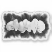 Sticker Orchidées d'aquarelle noir et blanc (Devant)