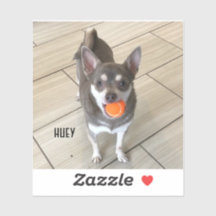 Ordinateur portable Huey