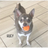 Sticker Ordinateur portable Huey (Devant)