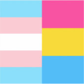 Sticker Ordinateur portable Transgenre Pansexual Dual Prid (Devant)
