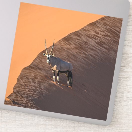 Sticker Oryx à la limite, Namibie (Détail)