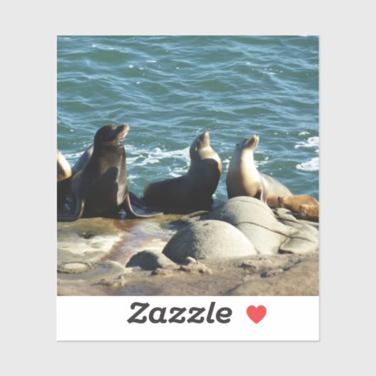 Sticker Otaries de San Diego (Feuille)