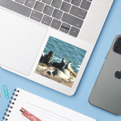 Sticker Otaries de San Diego (Ordinateur portable avec iPhone)