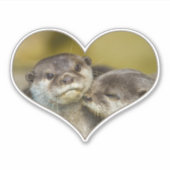 Sticker Otter Heart (Devant)