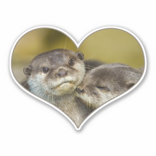 Sticker Otter Heart (Devant)