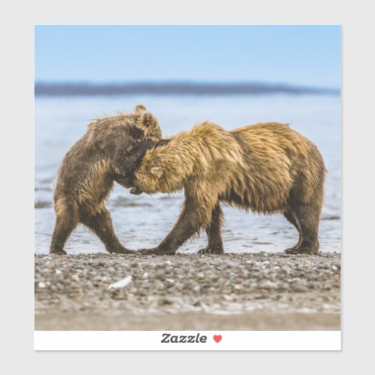 Sticker Ours brun côtier (Feuille)