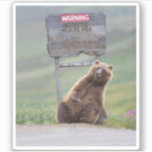 Sticker Ours Grizzly Joue Avec Un Panneau (Devant)