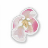 Sticker Ouverture de la floraison Apple (Devant)