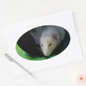 STICKER OVAL PEEWEE (Enveloppe)