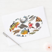 STICKER OVALE 大型熱帯魚 (Enveloppe)
