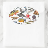 STICKER OVALE 大型熱帯魚 (Sac)