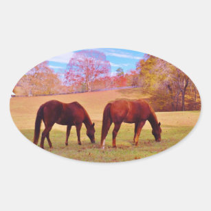 Sticker Ovale 2 chevaux Brown dans un champ coloré