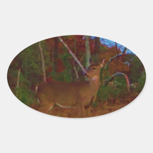 Sticker Ovale A Deer : Gold Red Green et Blue (Devant)