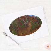 Sticker Ovale A Deer : Gold Red Green et Blue (Enveloppe)