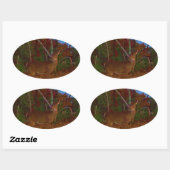 Sticker Ovale A Deer : Gold Red Green et Blue (Feuille)