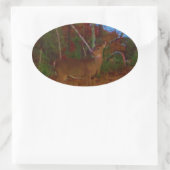 Sticker Ovale A Deer : Gold Red Green et Blue (Sac)