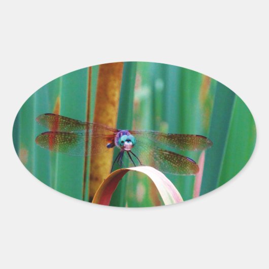 Sticker Ovale A teal Eyed Dragonfly with cattails (Devant)
