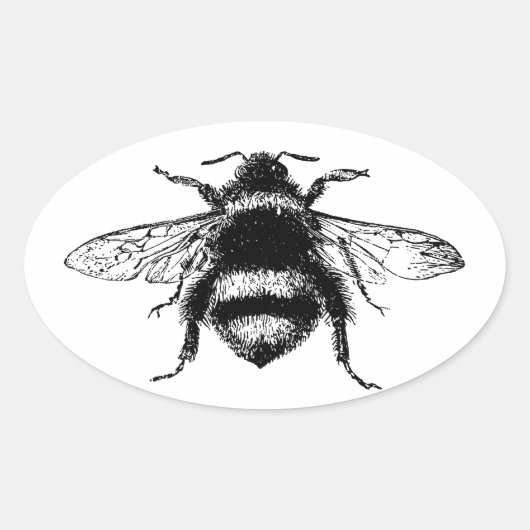 Sticker Ovale Abeille vintage (Devant)
