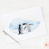 Sticker Ovale Adelie Penguins (Enveloppe)