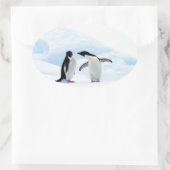 Sticker Ovale Adelie Penguins (Sac)