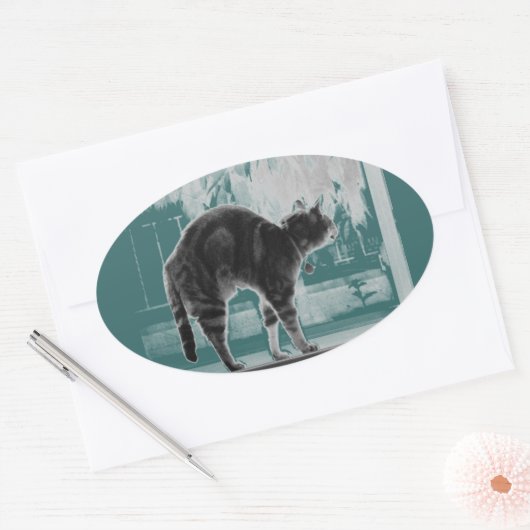 Sticker Ovale Agrandissement Indigo B+W (Enveloppe)