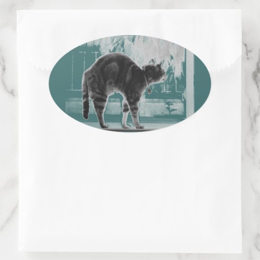 Sticker Ovale Agrandissement Indigo B+W (Sac)