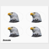 Sticker Ovale Aigle de Bald (Feuille)