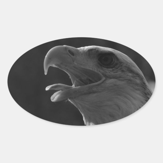 Sticker Ovale Aigle noir et blanc (Devant)