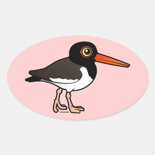 Sticker Ovale American Oystercatcher (Devant)